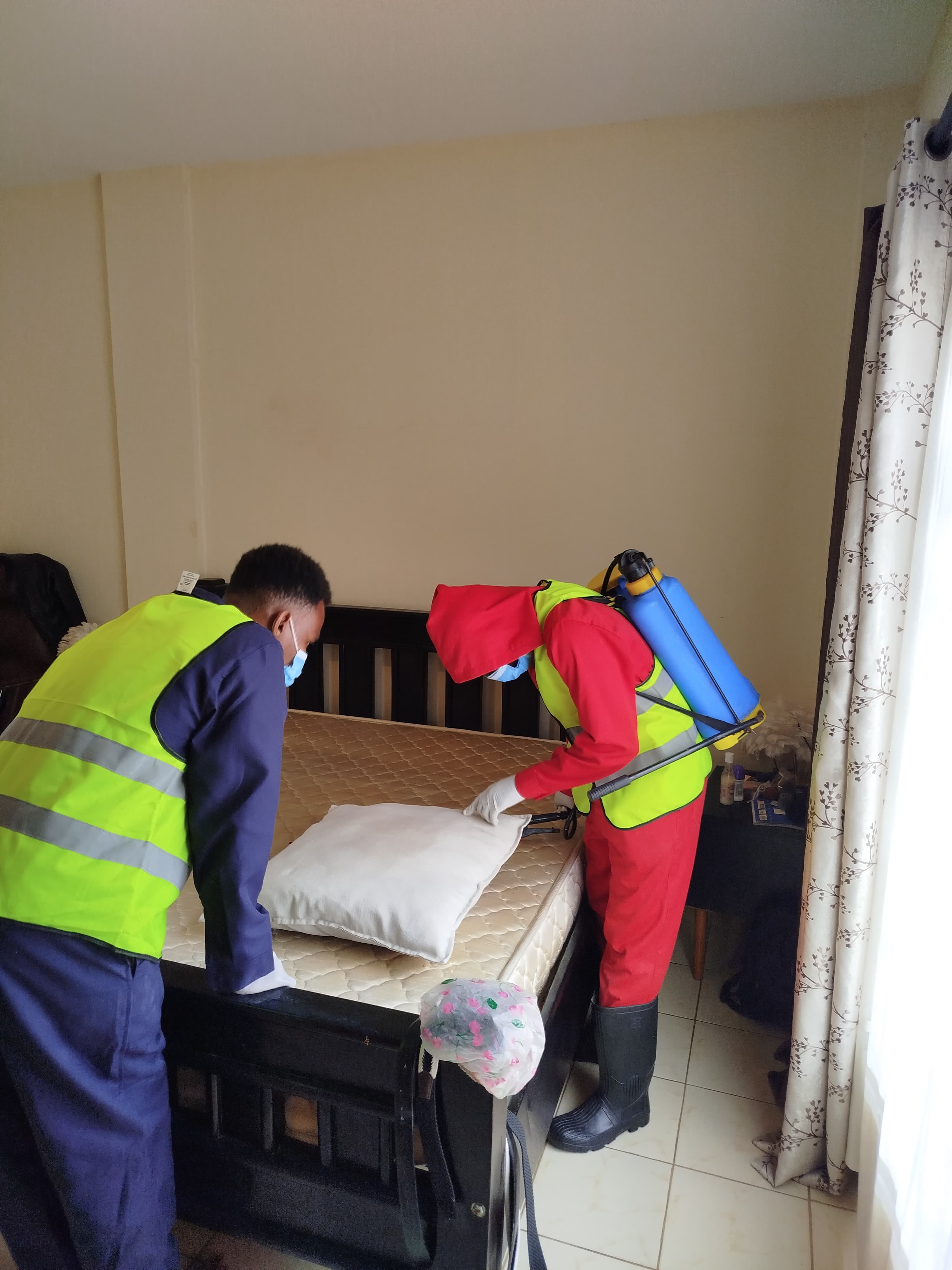 Apex Fumigation cleaning 