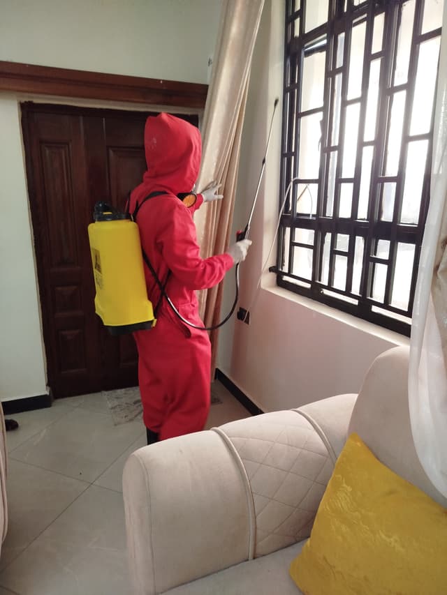 Full house Fumigation 