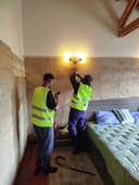 Apex Fumigation cleaning 's website